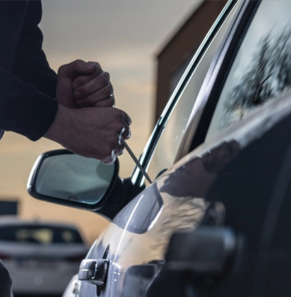 Theft Crimes Image