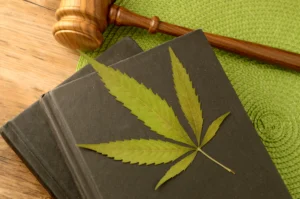 Marijuana Possession Charges in Texas